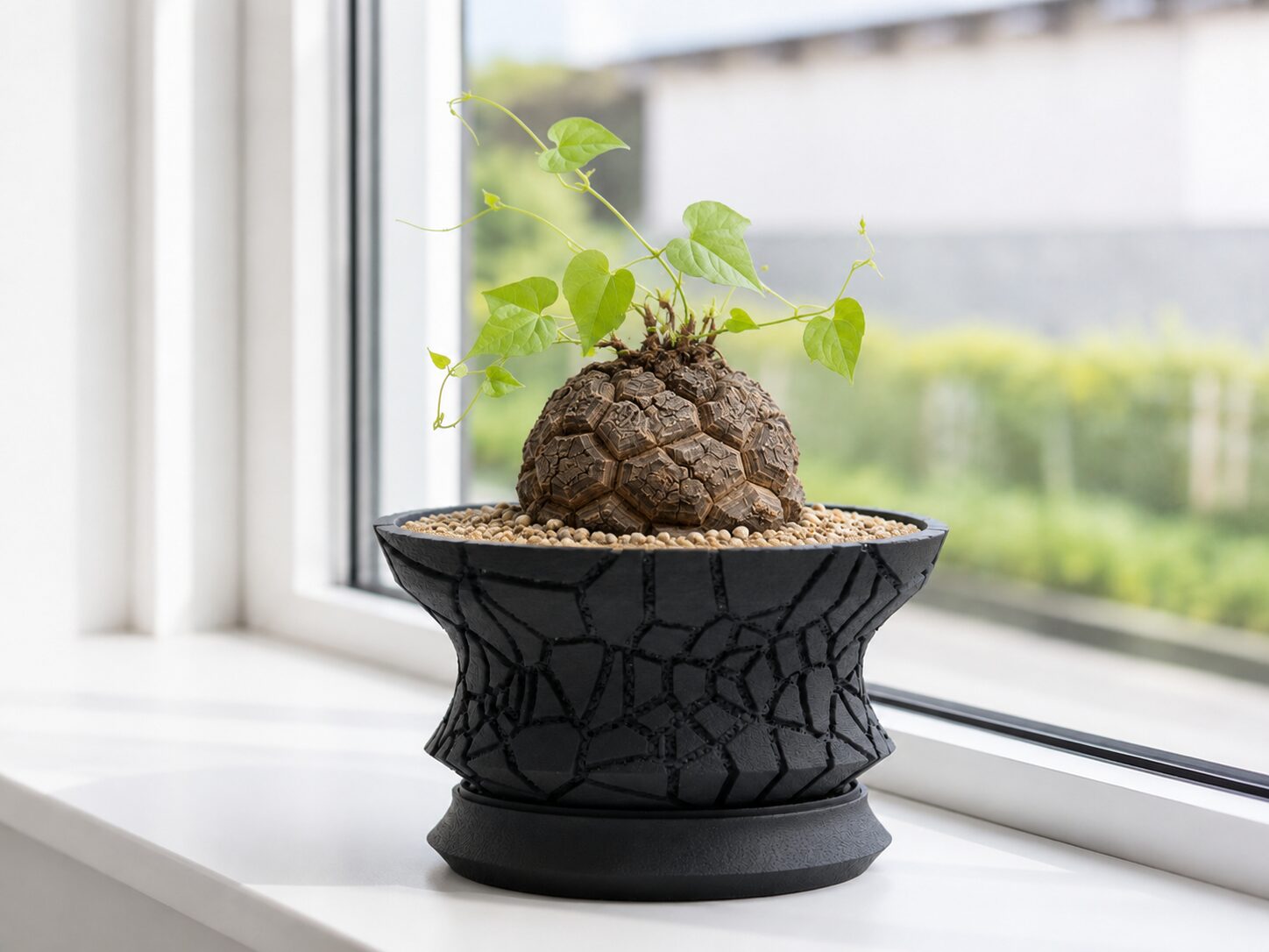 低重心のマットブラック3Dプリント浅鉢 CrackBowl