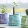 RibbonPot パステルブルーの植栽イメージ
