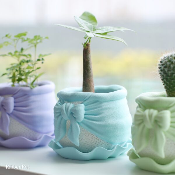 RibbonPot パステルブルーの植栽イメージ