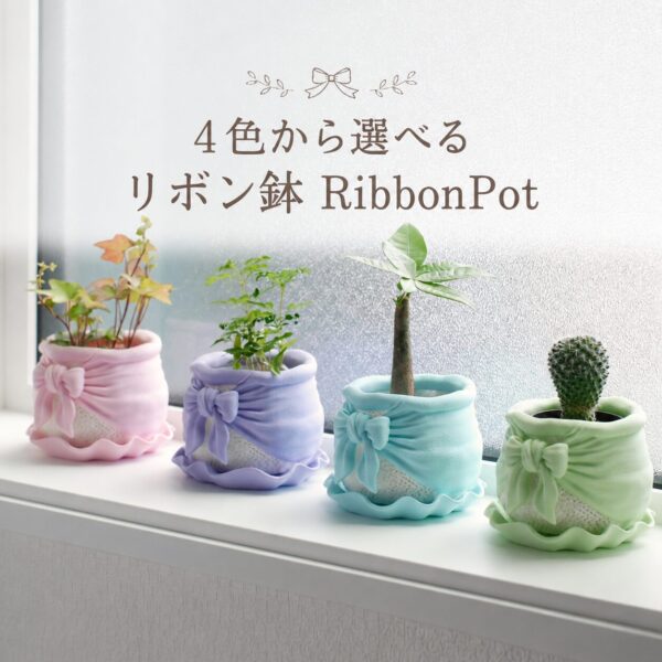 4色から選べるリボン鉢