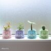 RibbonPot パステル4色を並べた使用イメージ