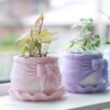 RibbonPot パステルピンクの植栽イメージ