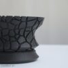 Crackbowl_接写