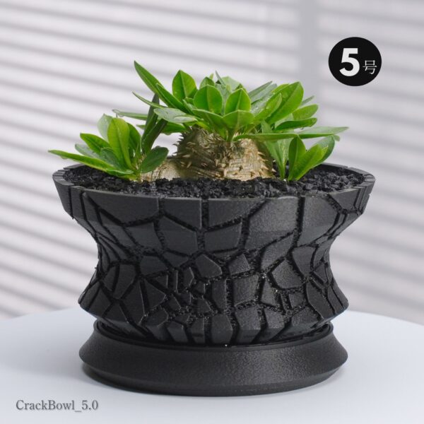 CrackBowl｜アガベ・塊根植物向け 高通気3Dプリント浅鉢 3号〜5号
