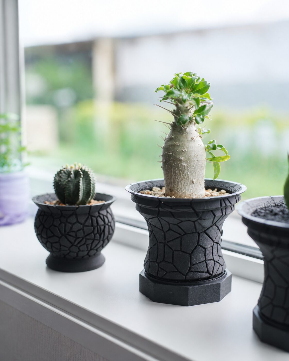黒いひび割れ造形のCrackシリーズ植木鉢