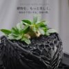 DevilBowl｜アガベ・塊根植物向け 悪魔の翼をまとう3Dプリント鉢 S・M・L