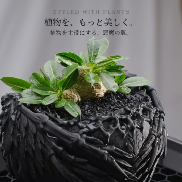 DevilBowl｜アガベ・塊根植物向け 悪魔の翼をまとう3Dプリント鉢 S・M・L