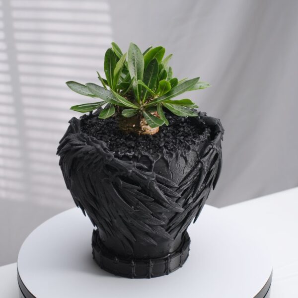 3 DevilPot|パキポディウム・塊根植物向け 悪魔の翼をまとう3Dプリント深鉢 S・M・L