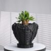 4 DevilPot|パキポディウム・塊根植物向け 悪魔の翼をまとう3Dプリント深鉢 S・M・L
